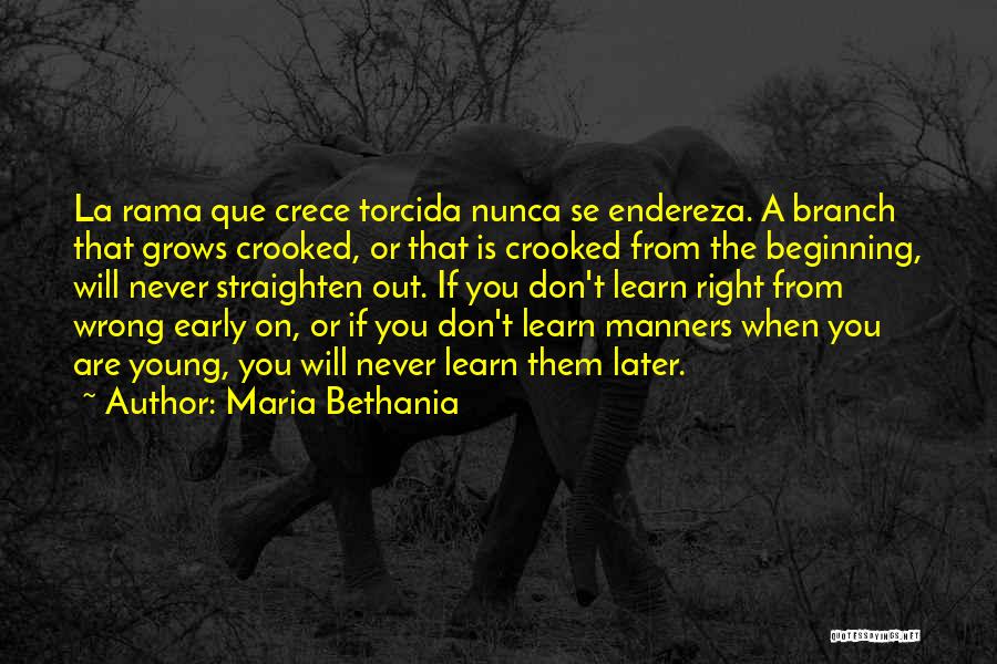 Maria Bethania Quotes: La Rama Que Crece Torcida Nunca Se Endereza. A Branch That Grows Crooked, Or That Is Crooked From The Beginning,