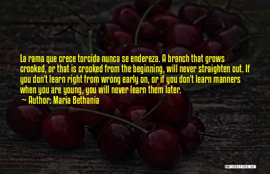 Maria Bethania Quotes: La Rama Que Crece Torcida Nunca Se Endereza. A Branch That Grows Crooked, Or That Is Crooked From The Beginning,