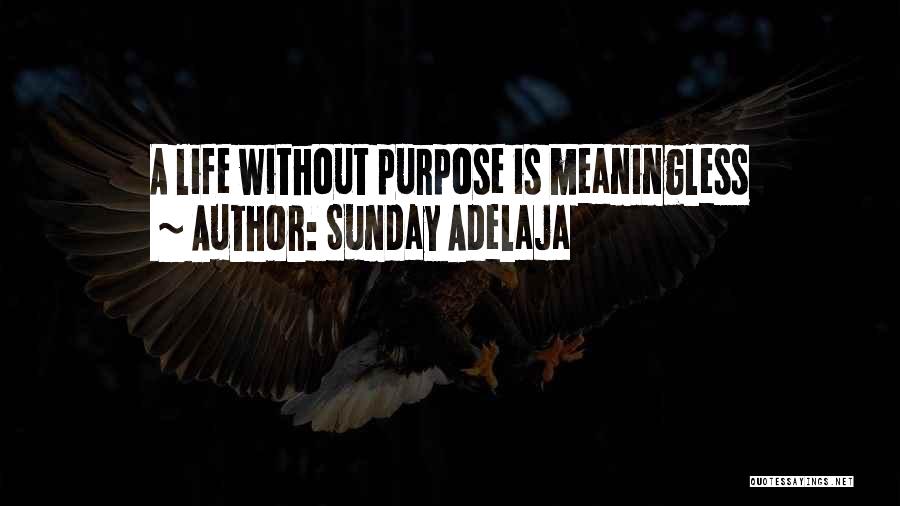 Sunday Adelaja Quotes: A Life Without Purpose Is Meaningless