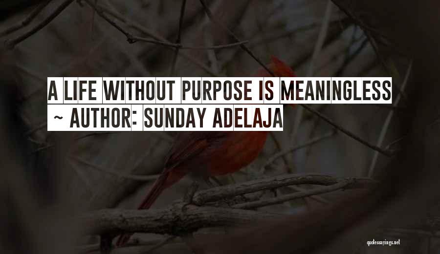 Sunday Adelaja Quotes: A Life Without Purpose Is Meaningless