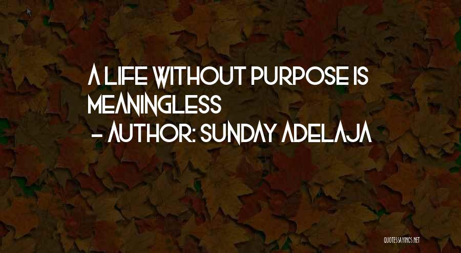 Sunday Adelaja Quotes: A Life Without Purpose Is Meaningless