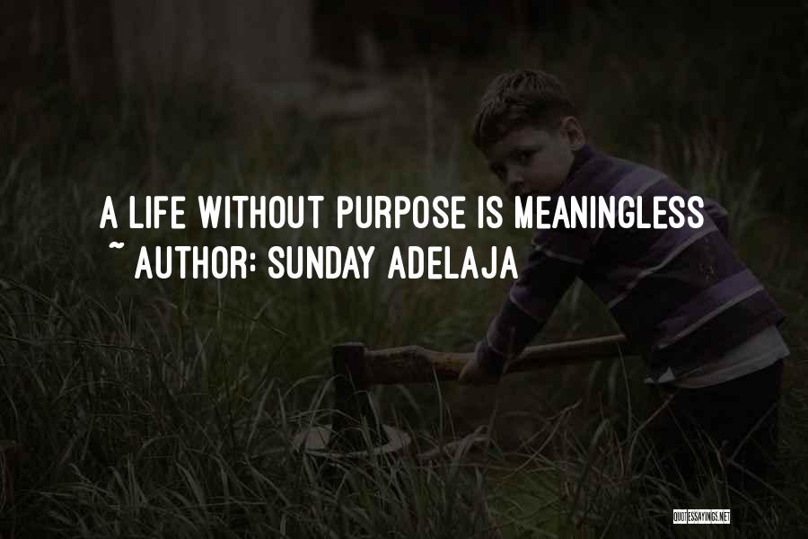 Sunday Adelaja Quotes: A Life Without Purpose Is Meaningless