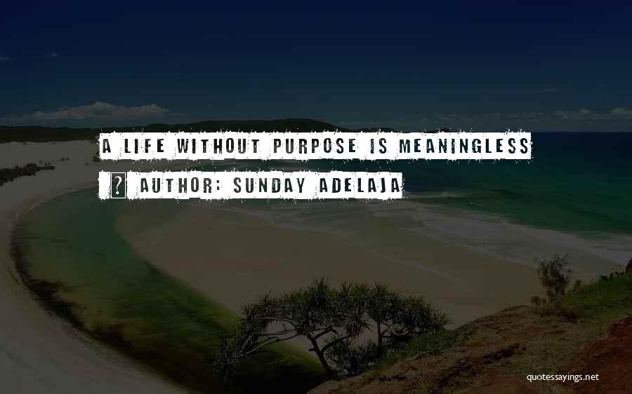 Sunday Adelaja Quotes: A Life Without Purpose Is Meaningless