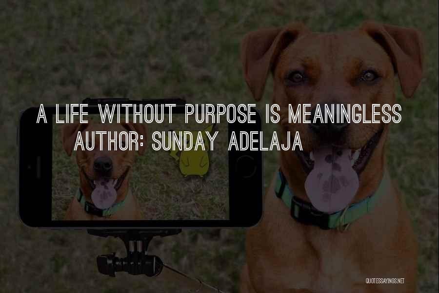 Sunday Adelaja Quotes: A Life Without Purpose Is Meaningless