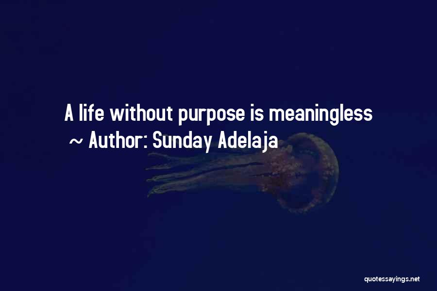 Sunday Adelaja Quotes: A Life Without Purpose Is Meaningless