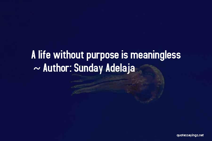 Sunday Adelaja Quotes: A Life Without Purpose Is Meaningless