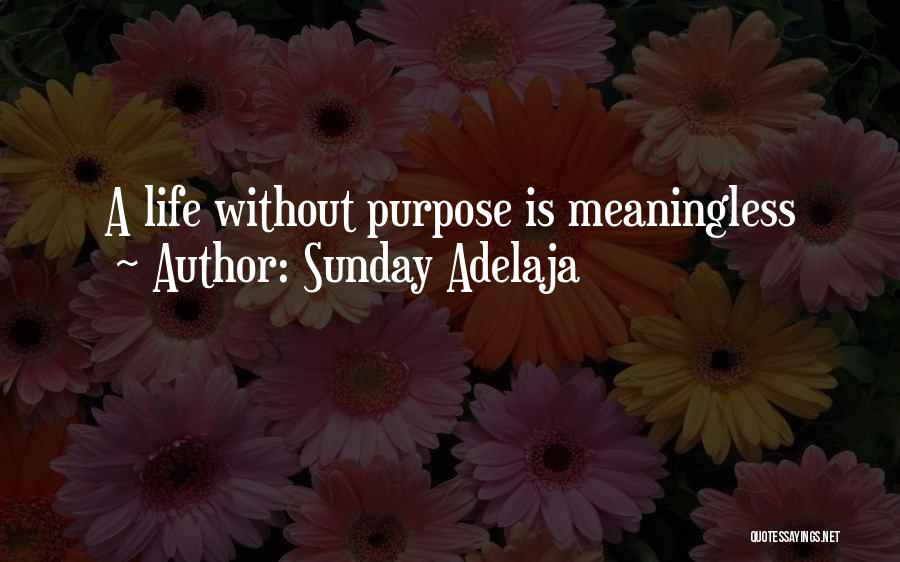 Sunday Adelaja Quotes: A Life Without Purpose Is Meaningless