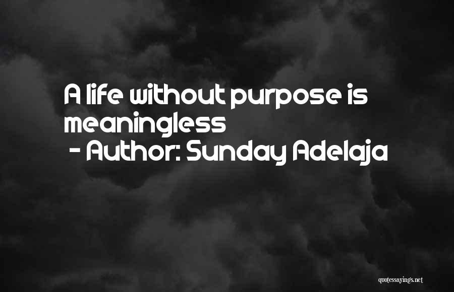 Sunday Adelaja Quotes: A Life Without Purpose Is Meaningless