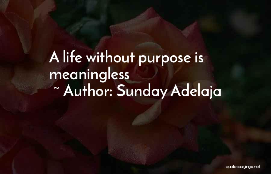 Sunday Adelaja Quotes: A Life Without Purpose Is Meaningless