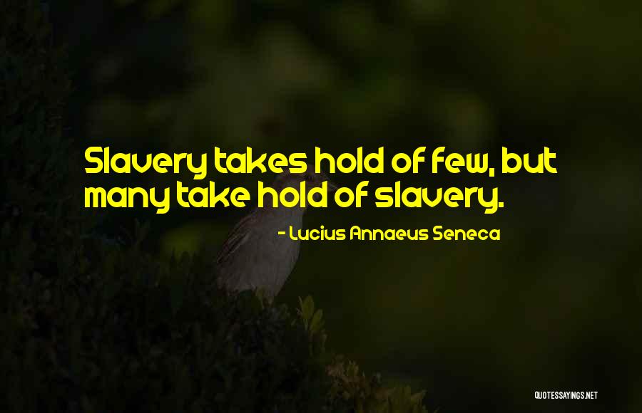 685 Area Quotes By Lucius Annaeus Seneca 685 Area Quotes By Lucius Annaeus Seneca