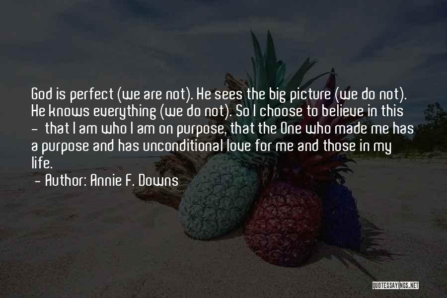 Annie F. Downs Quotes: God Is Perfect (we Are Not). He Sees The Big Picture (we Do Not). He Knows Everything (we Do Not).