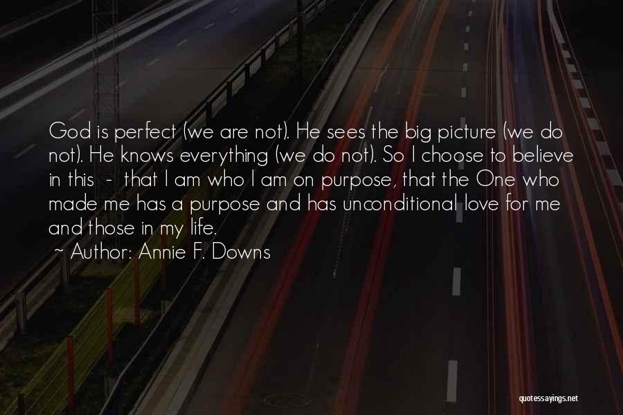 Annie F. Downs Quotes: God Is Perfect (we Are Not). He Sees The Big Picture (we Do Not). He Knows Everything (we Do Not).