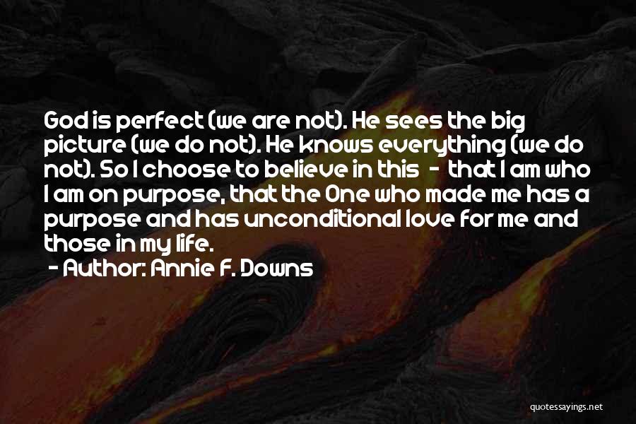 Annie F. Downs Quotes: God Is Perfect (we Are Not). He Sees The Big Picture (we Do Not). He Knows Everything (we Do Not).