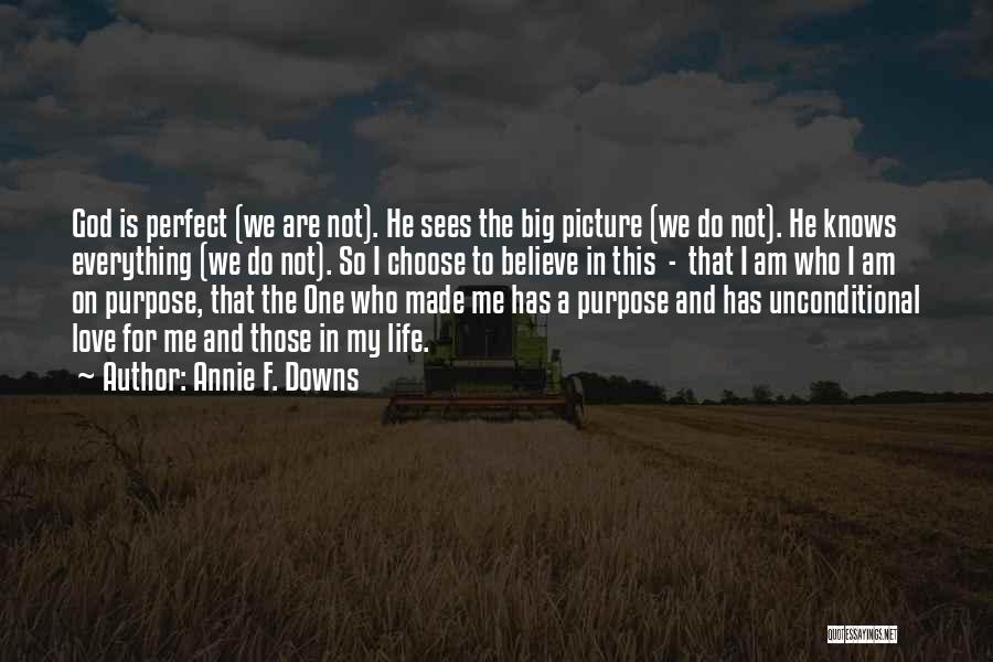 Annie F. Downs Quotes: God Is Perfect (we Are Not). He Sees The Big Picture (we Do Not). He Knows Everything (we Do Not).