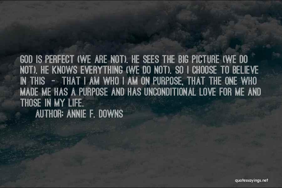 Annie F. Downs Quotes: God Is Perfect (we Are Not). He Sees The Big Picture (we Do Not). He Knows Everything (we Do Not).