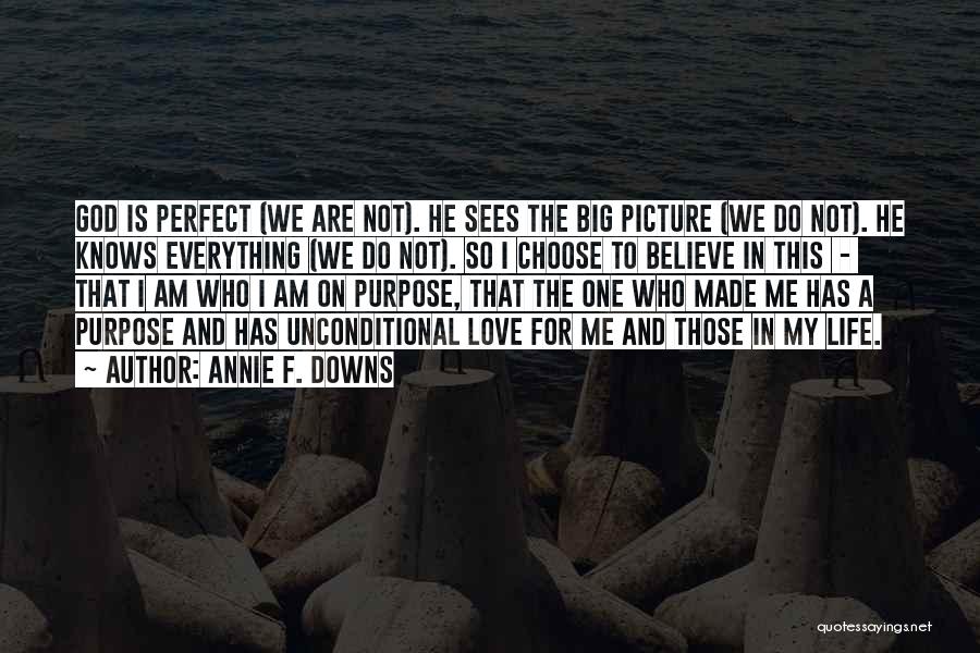 Annie F. Downs Quotes: God Is Perfect (we Are Not). He Sees The Big Picture (we Do Not). He Knows Everything (we Do Not).