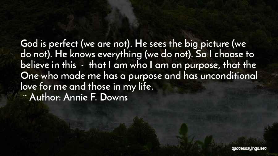 Annie F. Downs Quotes: God Is Perfect (we Are Not). He Sees The Big Picture (we Do Not). He Knows Everything (we Do Not).