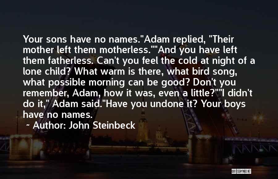 John Steinbeck Quotes: Your Sons Have No Names.adam Replied, Their Mother Left Them Motherless.and You Have Left Them Fatherless. Can't You Feel The