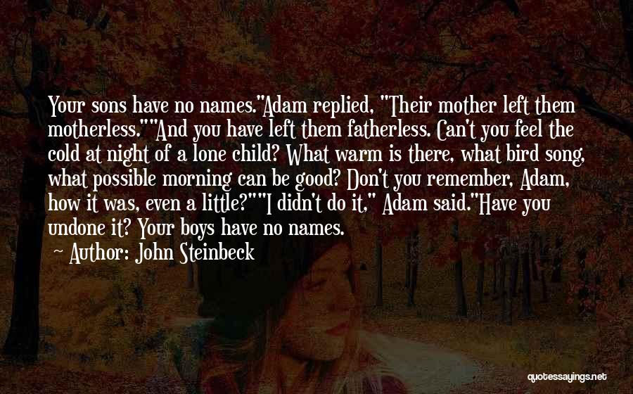 John Steinbeck Quotes: Your Sons Have No Names.adam Replied, Their Mother Left Them Motherless.and You Have Left Them Fatherless. Can't You Feel The