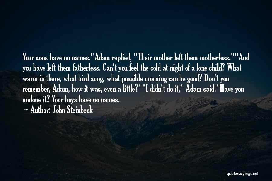 John Steinbeck Quotes: Your Sons Have No Names.adam Replied, Their Mother Left Them Motherless.and You Have Left Them Fatherless. Can't You Feel The