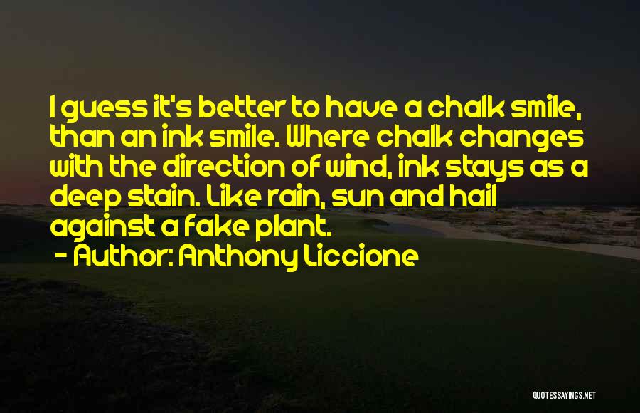 Anthony Liccione Quotes: I Guess It's Better To Have A Chalk Smile, Than An Ink Smile. Where Chalk Changes With The Direction Of