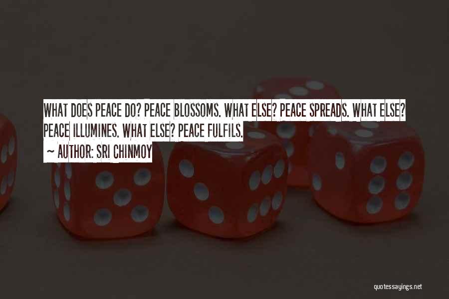 Sri Chinmoy Quotes: What Does Peace Do? Peace Blossoms. What Else? Peace Spreads. What Else? Peace Illumines. What Else? Peace Fulfils.