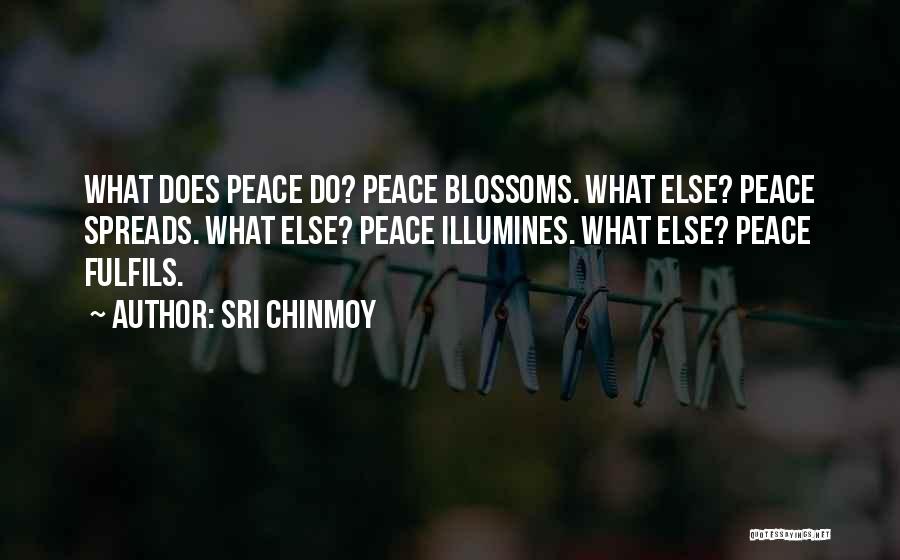 Sri Chinmoy Quotes: What Does Peace Do? Peace Blossoms. What Else? Peace Spreads. What Else? Peace Illumines. What Else? Peace Fulfils.