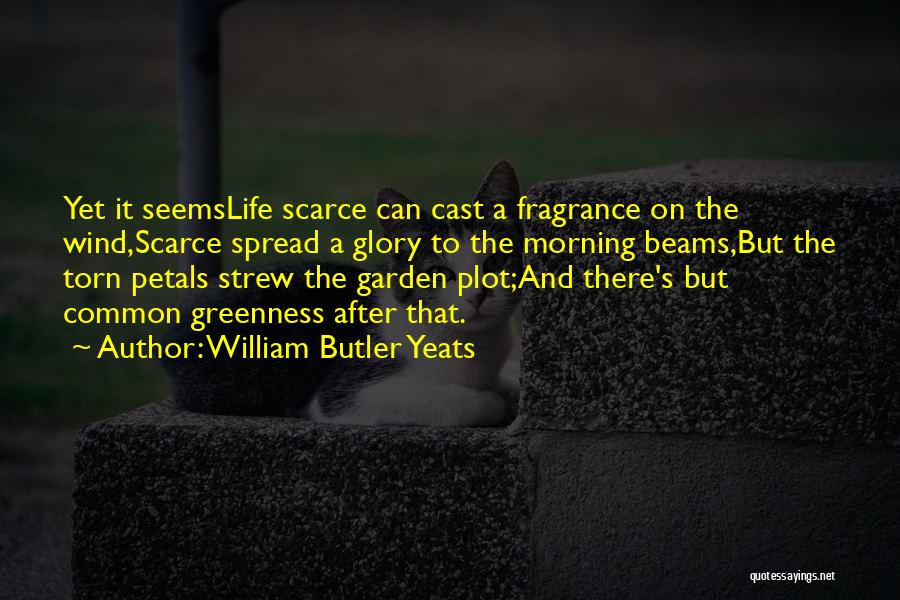 William Butler Yeats Quotes: Yet It Seemslife Scarce Can Cast A Fragrance On The Wind,scarce Spread A Glory To The Morning Beams,but The Torn