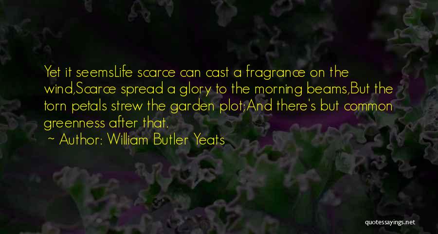 William Butler Yeats Quotes: Yet It Seemslife Scarce Can Cast A Fragrance On The Wind,scarce Spread A Glory To The Morning Beams,but The Torn