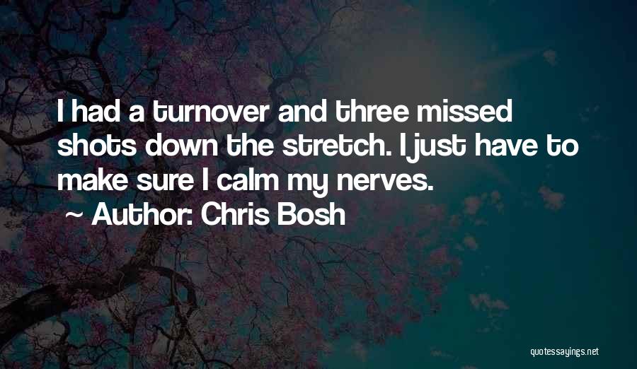 Chris Bosh Quotes: I Had A Turnover And Three Missed Shots Down The Stretch. I Just Have To Make Sure I Calm My