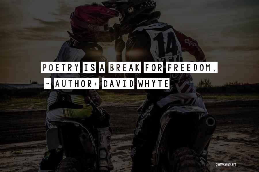 David Whyte Quotes: Poetry Is A Break For Freedom.