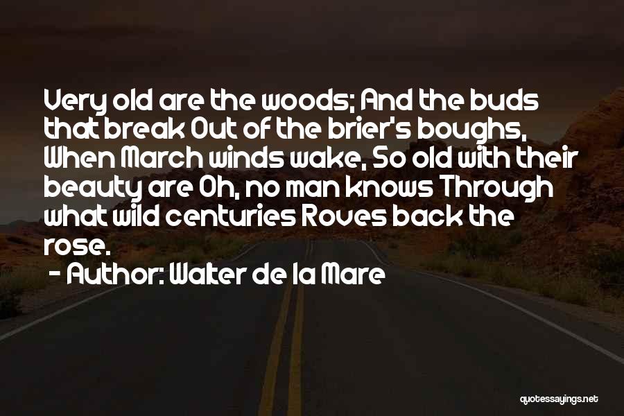 Walter De La Mare Quotes: Very Old Are The Woods; And The Buds That Break Out Of The Brier's Boughs, When March Winds Wake, So