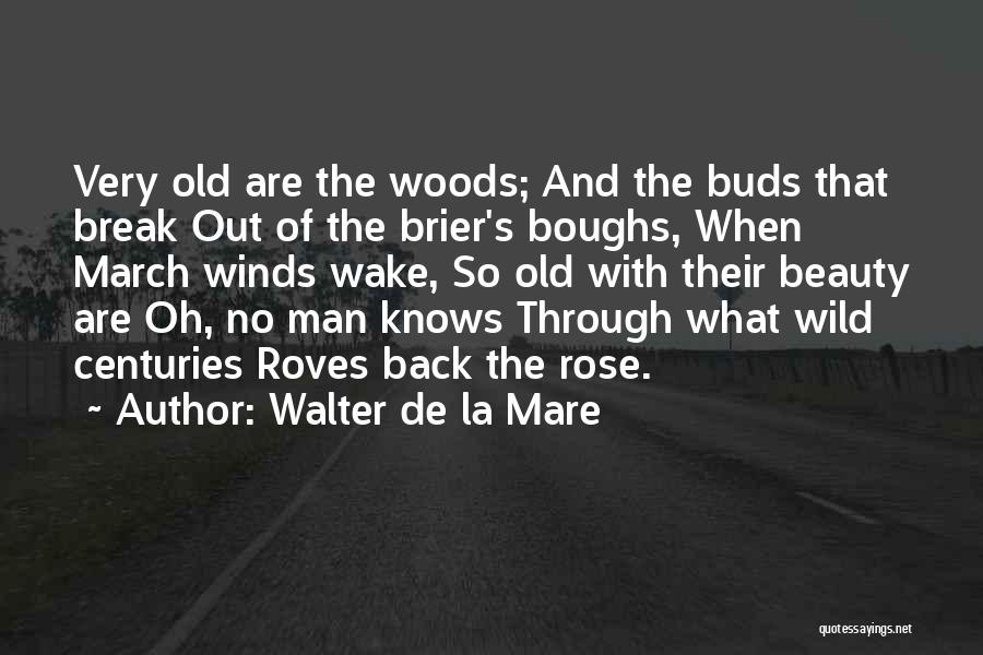 Walter De La Mare Quotes: Very Old Are The Woods; And The Buds That Break Out Of The Brier's Boughs, When March Winds Wake, So