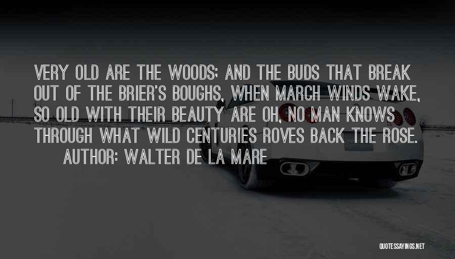 Walter De La Mare Quotes: Very Old Are The Woods; And The Buds That Break Out Of The Brier's Boughs, When March Winds Wake, So