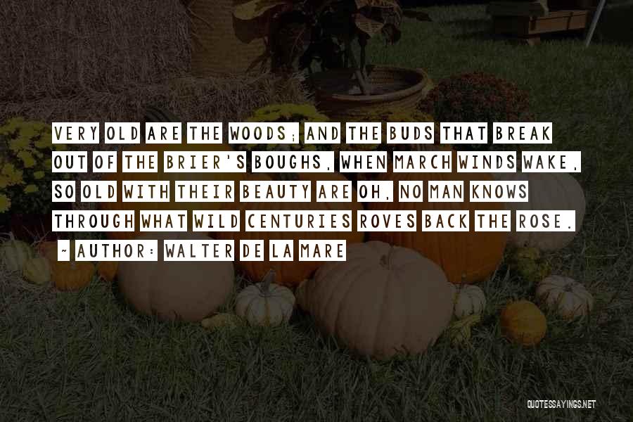 Walter De La Mare Quotes: Very Old Are The Woods; And The Buds That Break Out Of The Brier's Boughs, When March Winds Wake, So