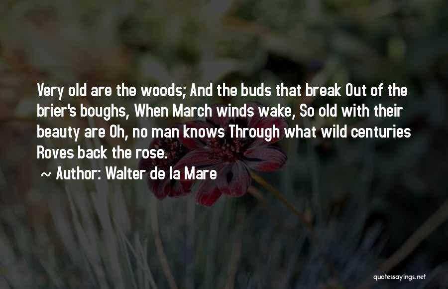 Walter De La Mare Quotes: Very Old Are The Woods; And The Buds That Break Out Of The Brier's Boughs, When March Winds Wake, So