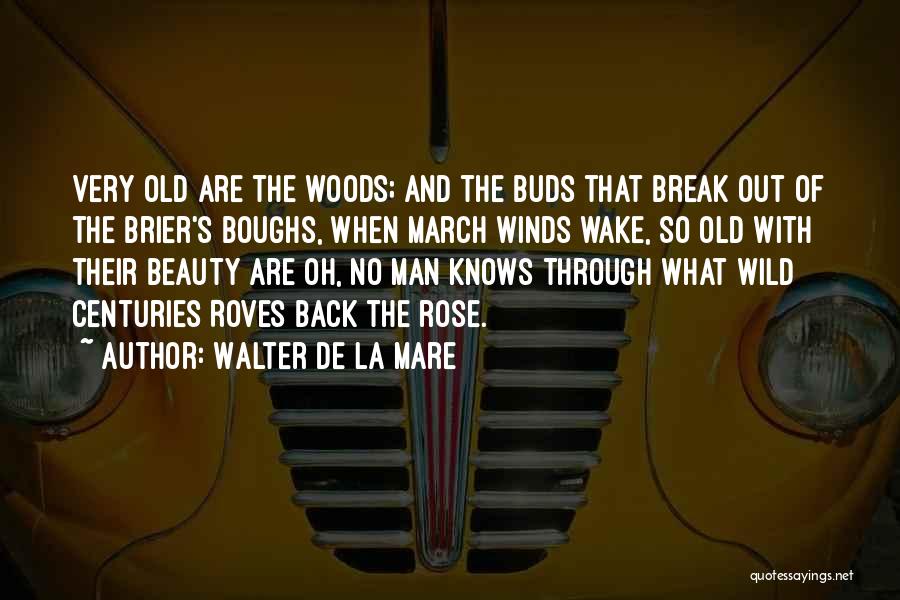 Walter De La Mare Quotes: Very Old Are The Woods; And The Buds That Break Out Of The Brier's Boughs, When March Winds Wake, So