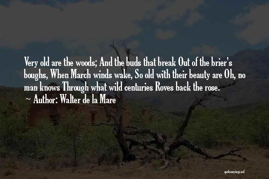 Walter De La Mare Quotes: Very Old Are The Woods; And The Buds That Break Out Of The Brier's Boughs, When March Winds Wake, So