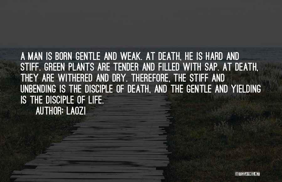 Laozi Quotes: A Man Is Born Gentle And Weak. At Death, He Is Hard And Stiff. Green Plants Are Tender And Filled