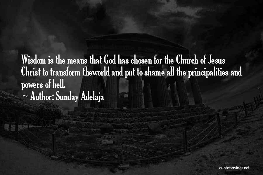 Sunday Adelaja Quotes: Wisdom Is The Means That God Has Chosen For The Church Of Jesus Christ To Transform Theworld And Put To