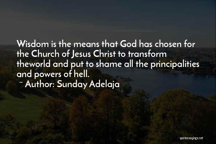 Sunday Adelaja Quotes: Wisdom Is The Means That God Has Chosen For The Church Of Jesus Christ To Transform Theworld And Put To