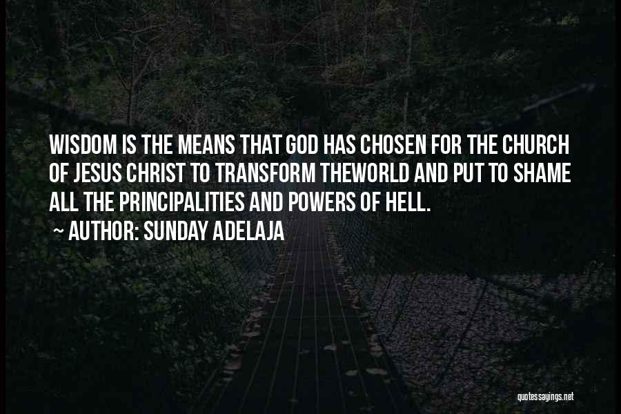 Sunday Adelaja Quotes: Wisdom Is The Means That God Has Chosen For The Church Of Jesus Christ To Transform Theworld And Put To