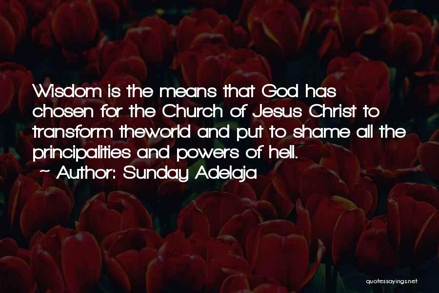 Sunday Adelaja Quotes: Wisdom Is The Means That God Has Chosen For The Church Of Jesus Christ To Transform Theworld And Put To