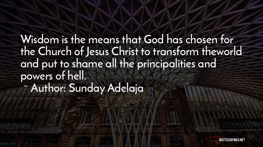 Sunday Adelaja Quotes: Wisdom Is The Means That God Has Chosen For The Church Of Jesus Christ To Transform Theworld And Put To