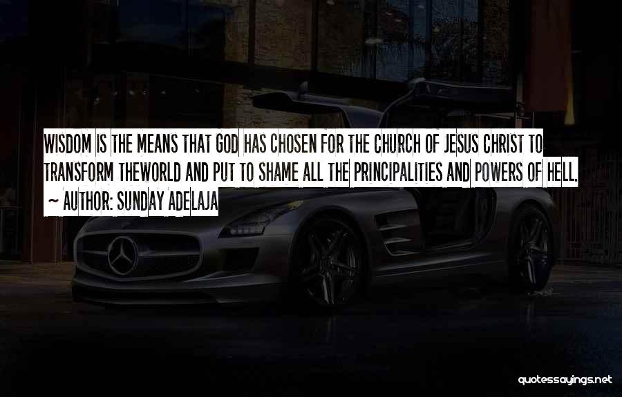 Sunday Adelaja Quotes: Wisdom Is The Means That God Has Chosen For The Church Of Jesus Christ To Transform Theworld And Put To