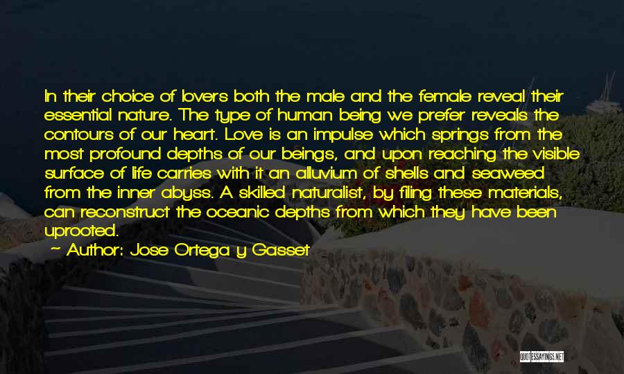 Jose Ortega Y Gasset Quotes: In Their Choice Of Lovers Both The Male And The Female Reveal Their Essential Nature. The Type Of Human Being