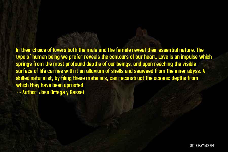 Jose Ortega Y Gasset Quotes: In Their Choice Of Lovers Both The Male And The Female Reveal Their Essential Nature. The Type Of Human Being