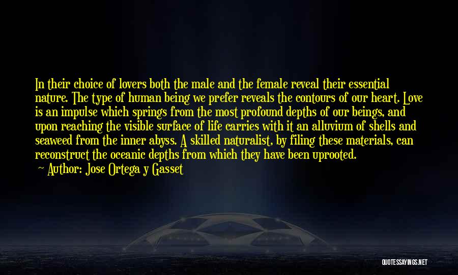 Jose Ortega Y Gasset Quotes: In Their Choice Of Lovers Both The Male And The Female Reveal Their Essential Nature. The Type Of Human Being
