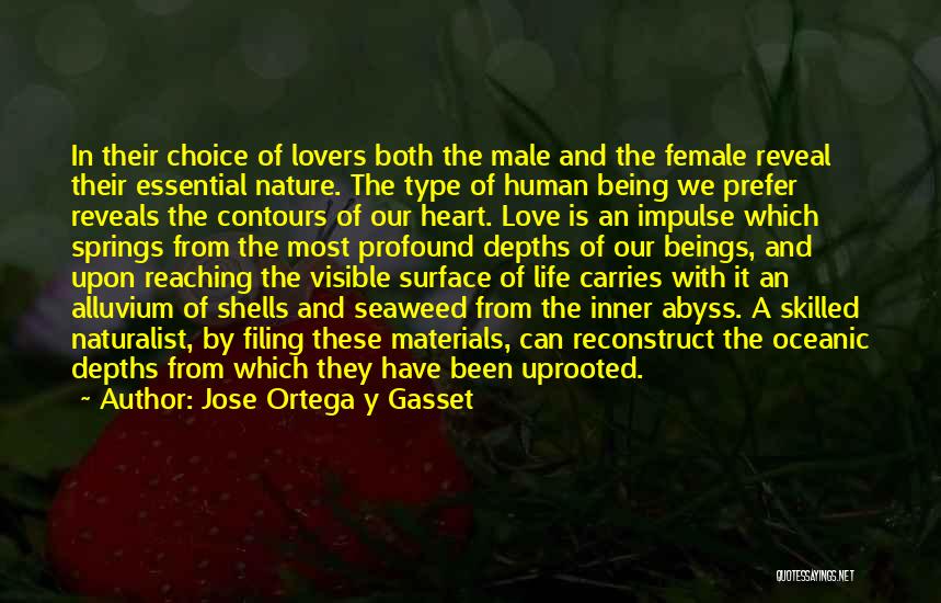 Jose Ortega Y Gasset Quotes: In Their Choice Of Lovers Both The Male And The Female Reveal Their Essential Nature. The Type Of Human Being