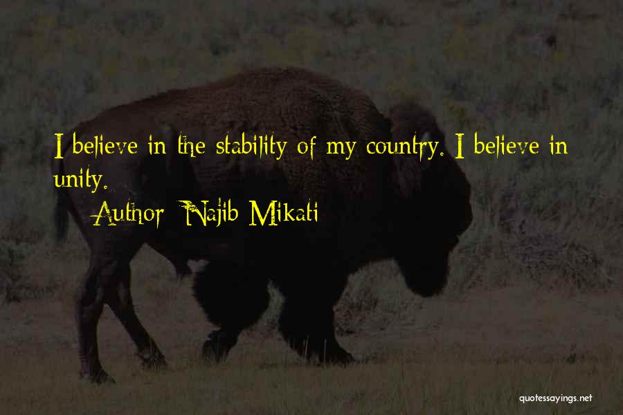 Najib Mikati Quotes: I Believe In The Stability Of My Country. I Believe In Unity.